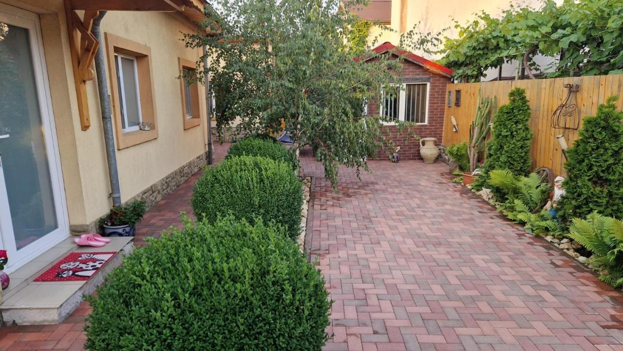 Отель Casa Teo Бузэу Экстерьер фото